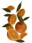 culinaire marchandise hubert oranges 2 []