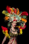 plumes michot dominique brazil 1.jpg