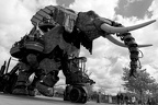 Mecanique ASTIGARRAGA Jean-Manuel Elephant 2