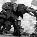 Mecanique ASTIGARRAGA Jean-Manuel Elephant 2