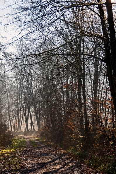 Foret_Bancal_Madeleine_Canelle_1.jpg