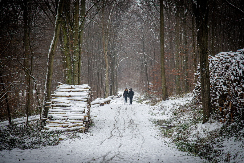 forêt_carcagno_anne-marie_intimité_2.jpg
