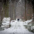 forêt carcagno anne-marie intimité 2