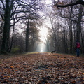 foret douroux patrick balade 1