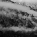 forêt jacq frédéric fumée   3