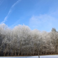 foret porte elodie paysagefroid 2