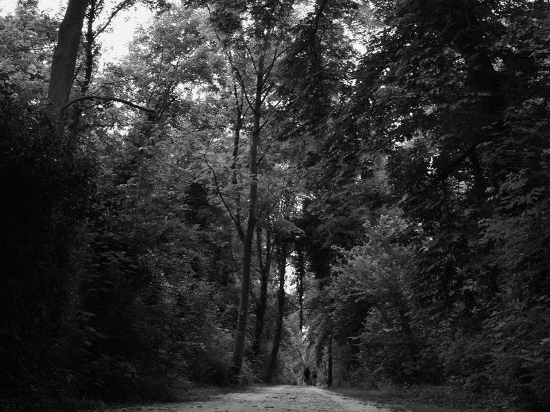 foret_somaroo_luxmee_promenade_1.jpg