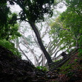 Foret Troadec Marc GuatemalaB 2